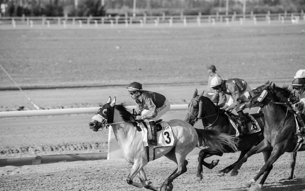 Three thoroughbreds rounding the home turn, jockeys low in plain unmarked silks